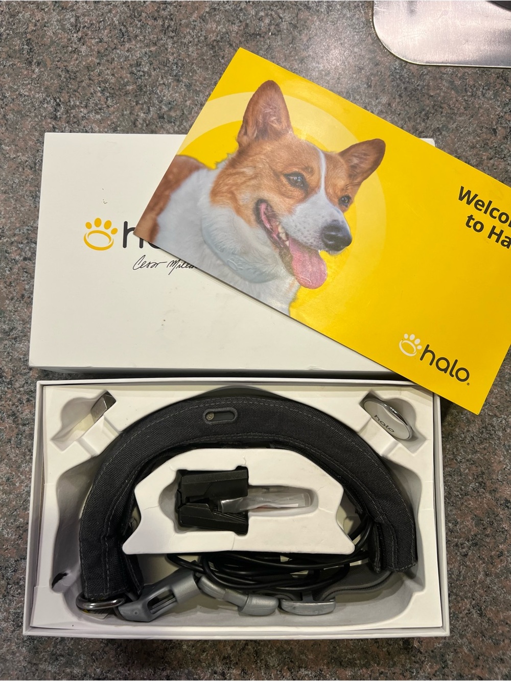 Halo Collar 3 GPS Dog Fence System